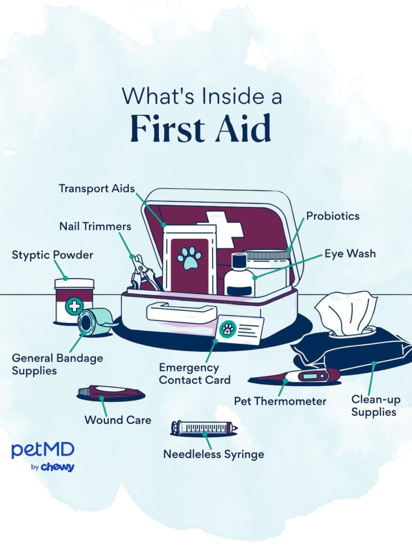 What’s Inside a First Aid Kit