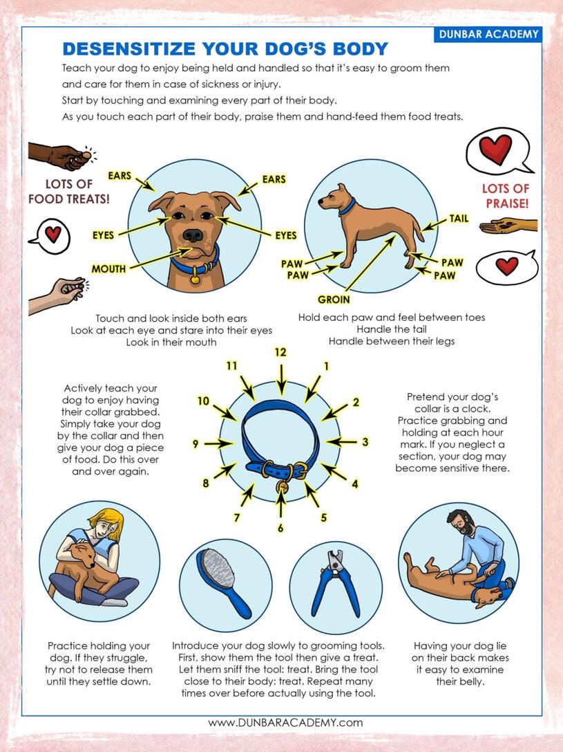 Desensitize Your Dog’s Body